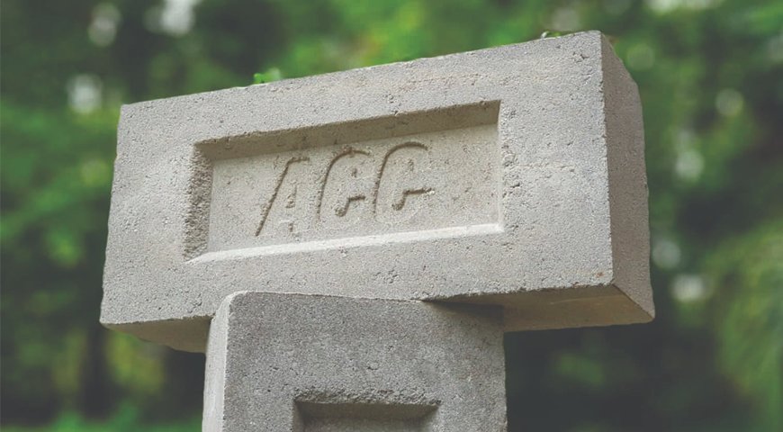 Madrids Photographer Marathon